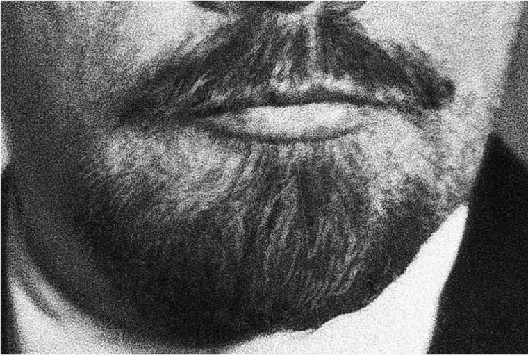 Почему ленин носил бороду